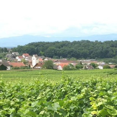 In Bischoffingen, Cleaning Included 公寓 *