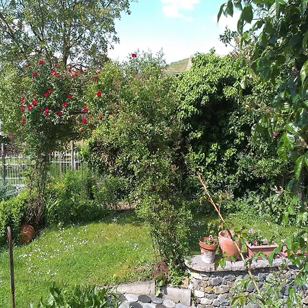 With Terrace And Garden, Cleaning Included * Bischoffingen