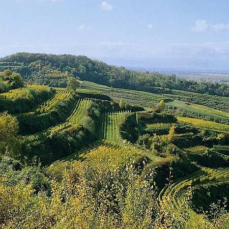 With Terrace And Garden, Cleaning Included Bischoffingen