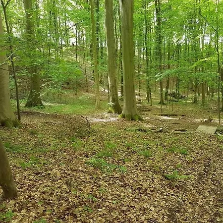 With Terrace And Garden, Cleaning Included Bischoffingen