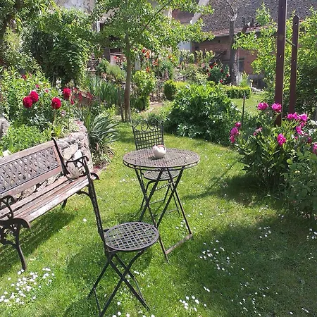 With Terrace And Garden, Cleaning Included
