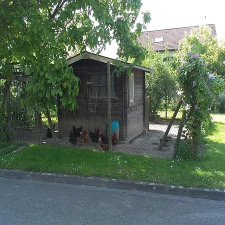 With Terrace And Garden, Cleaning Included
